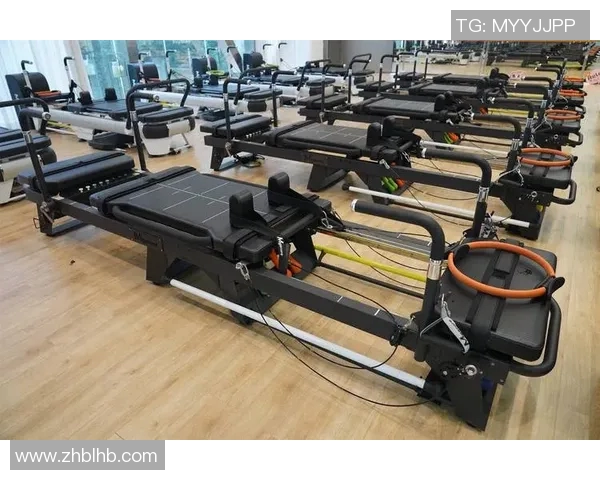 针对背部和腰部锻炼的健身器材推荐