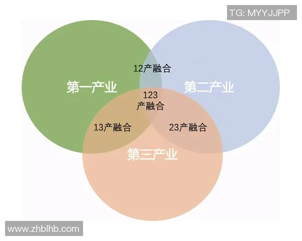 竞技运动发展与全民健身融合路径探索及其社会影响分析