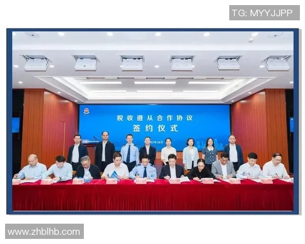 财务注册服务创新：助力企业高效合规运营与税务管理优化